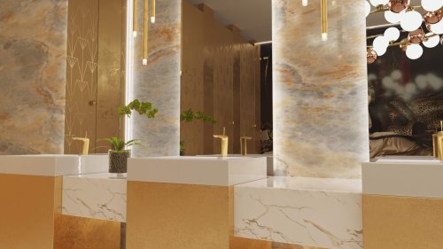 Ladies washroom Cam 03